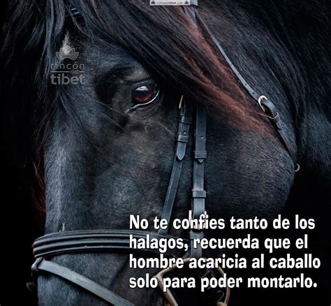 57,318 Porno con caballos FREE videos found on XVIDEOS for this search. . Por no con caballos